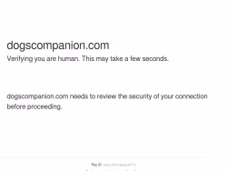 Dogscompanion