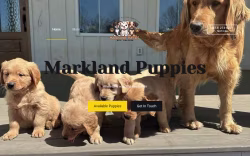 marklandpuppies.com