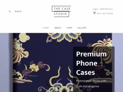 Thecasestudio