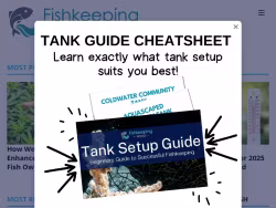 Fishkeepingworld
