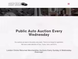 Mckenziesauction
