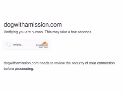 Dogwithamission