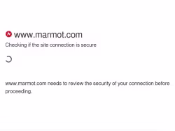 Marmot