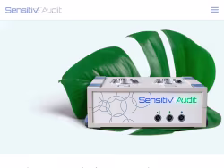 Sensitive-audit