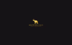 Bhowmik Dave Films and Photography