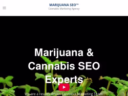 Marijuanaseo