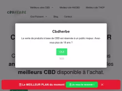 Cbdherbe