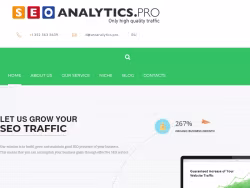 Seoanalytics