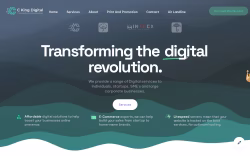 Ckingdigital