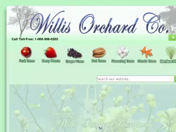 Willisorchards