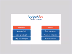Bobex
