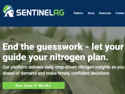 Sentinelfertigation