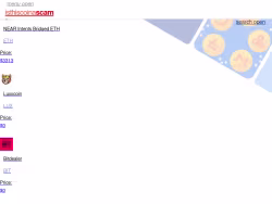 Isthiscoinascam