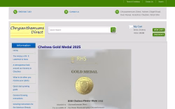 Chrysanthemumsdirect
