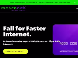 Metronetinc