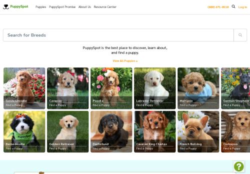 Puppyspot